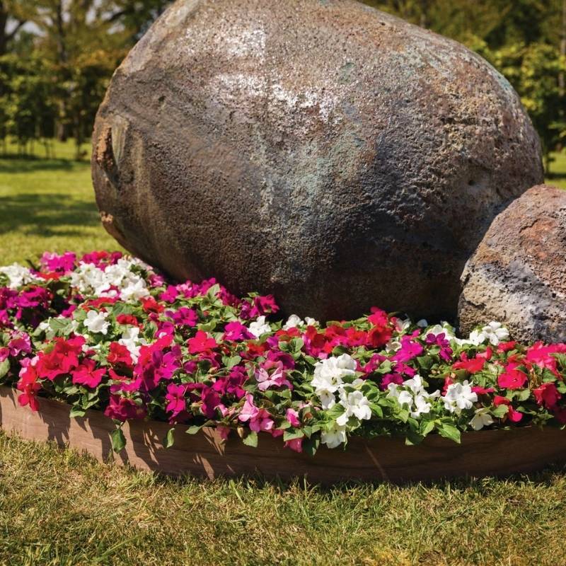 Impatiens Imara Mix